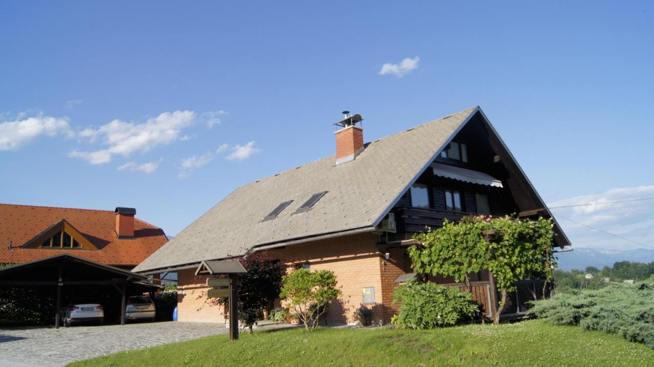 Janjusevic Apartment