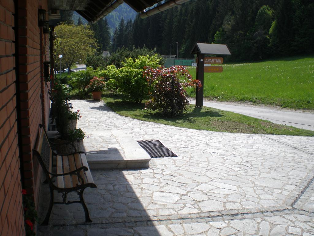 Janjusevic Apartment
